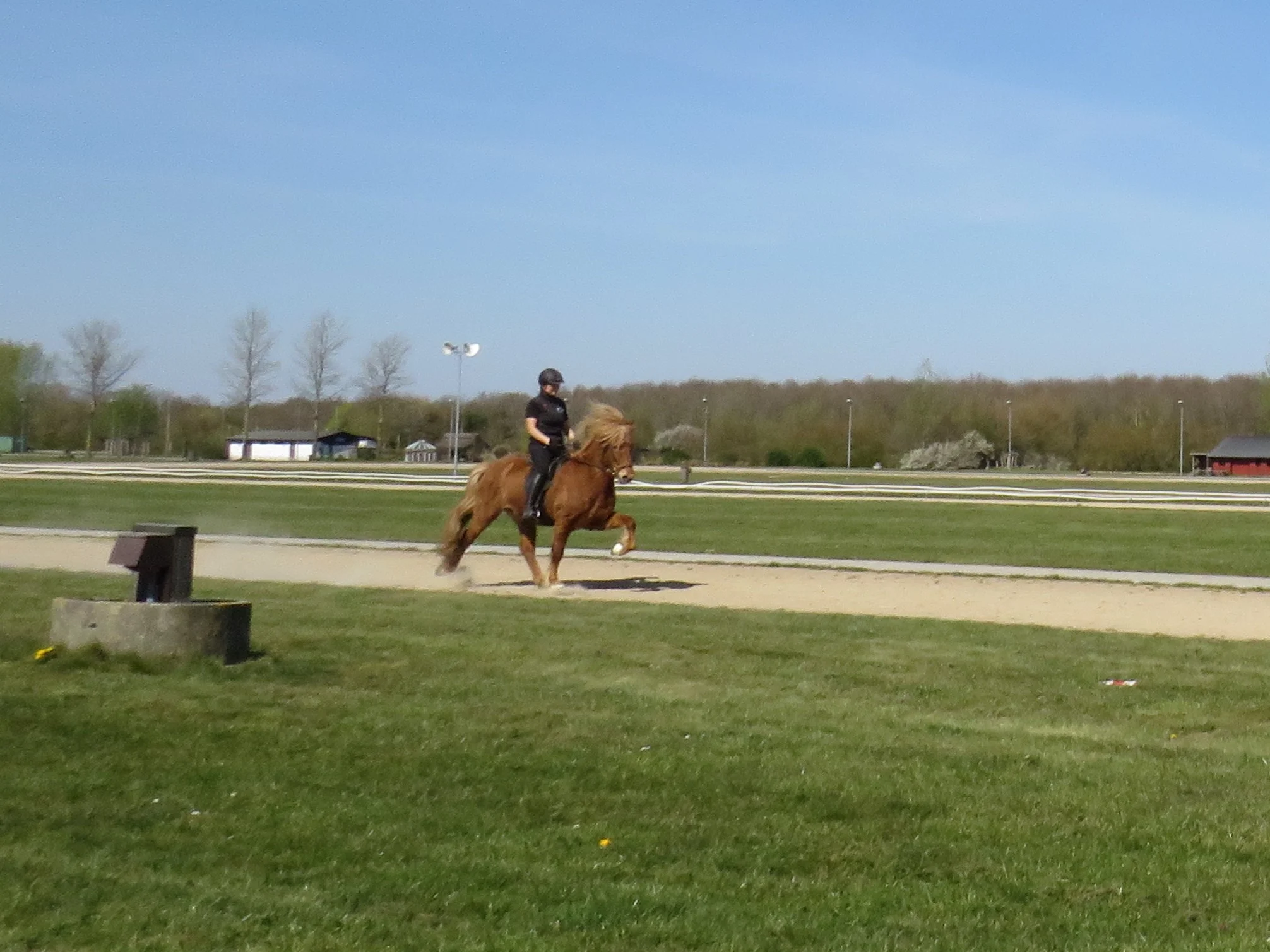 SOLGT - HERVAR FRA BREDGAARD - DK 2011100057 - SOLGT