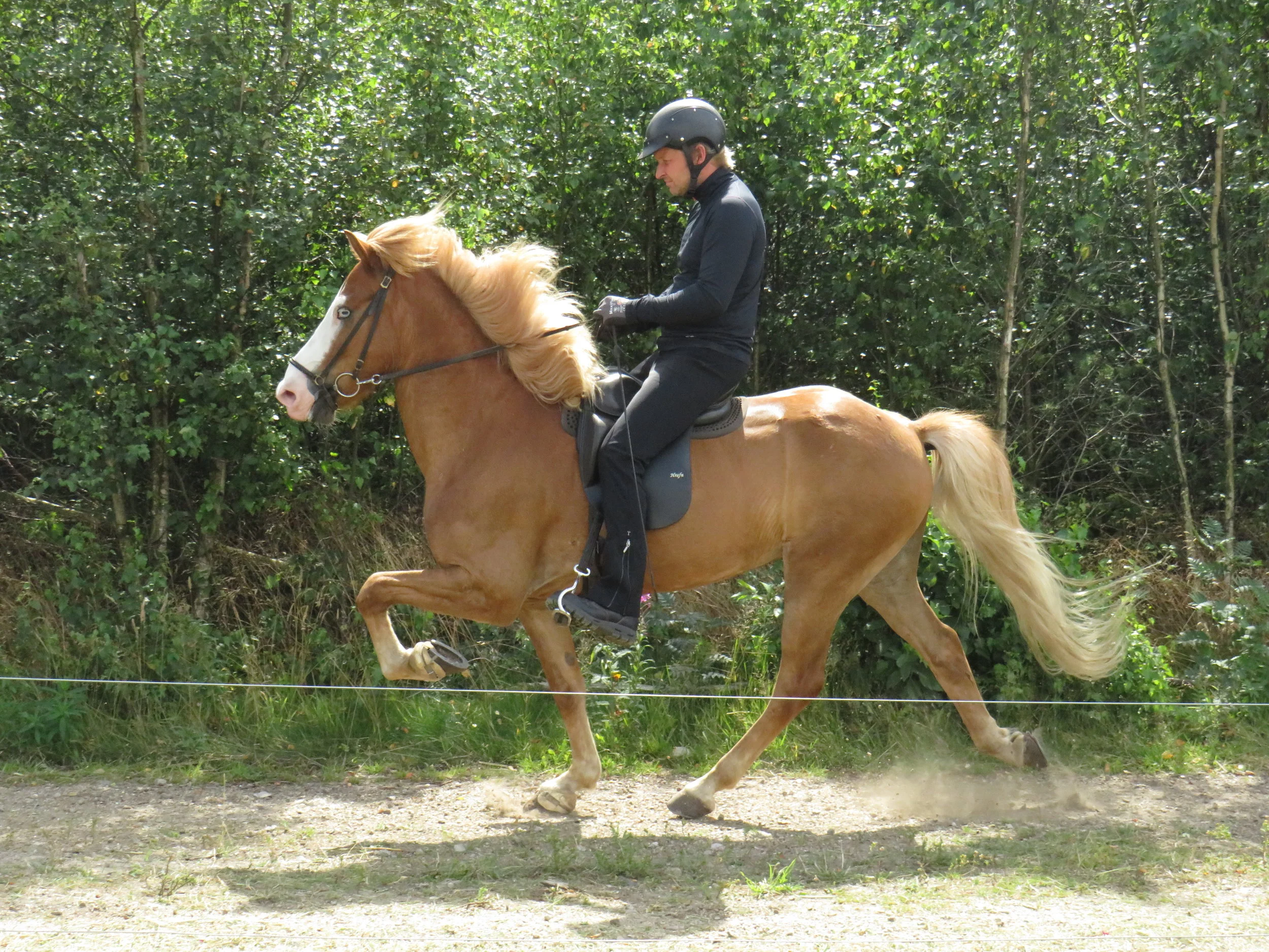 SOLGT -SKÝR FRA ENIGHED - DK2012100441 - SOLGT