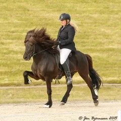 Kiljan frá Holtsmula 1 - den ultimative tølter...