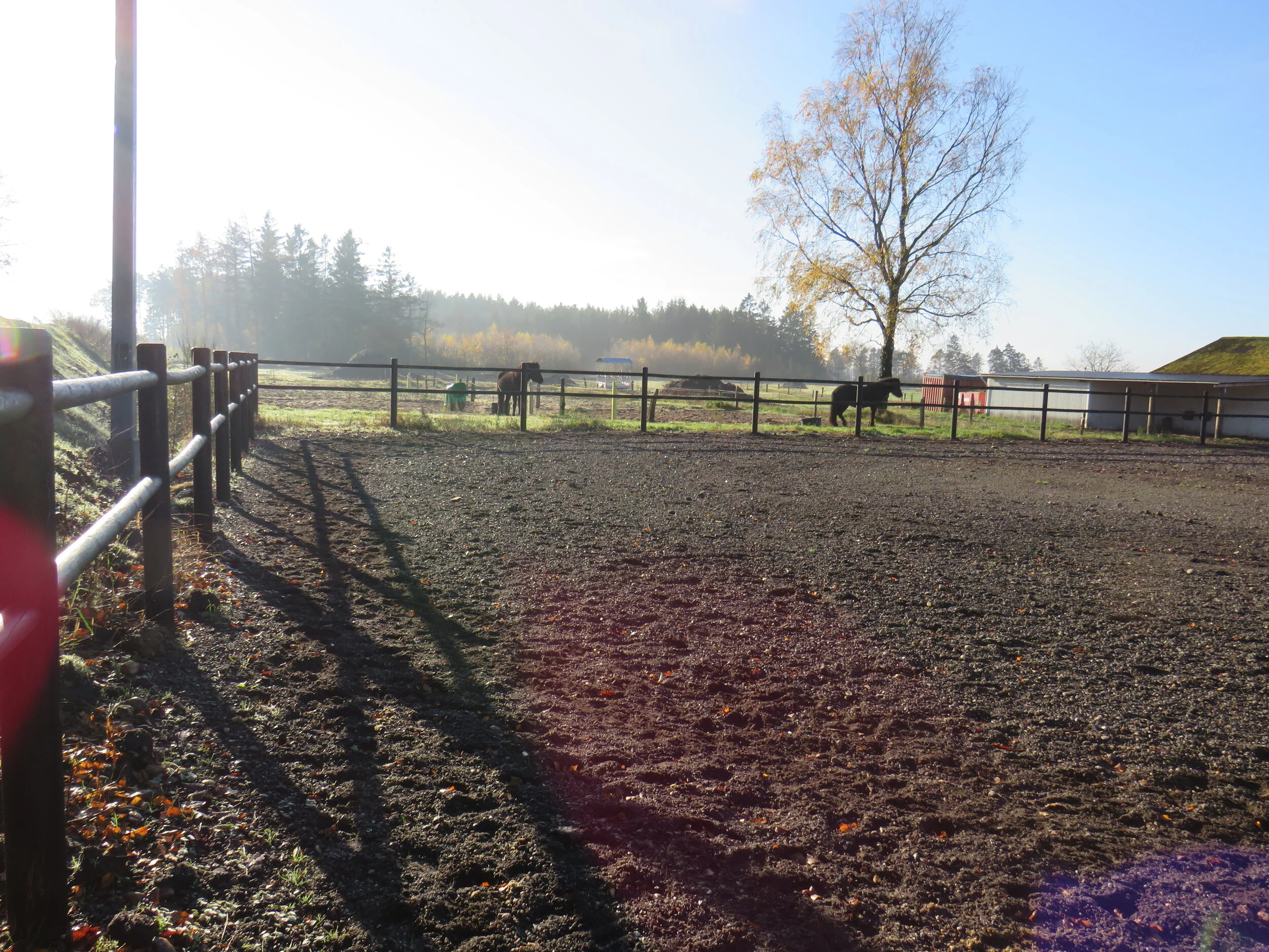 🍂VI TILBYDER OPSTALDNING PÅ BØGELUND HESTE🍂