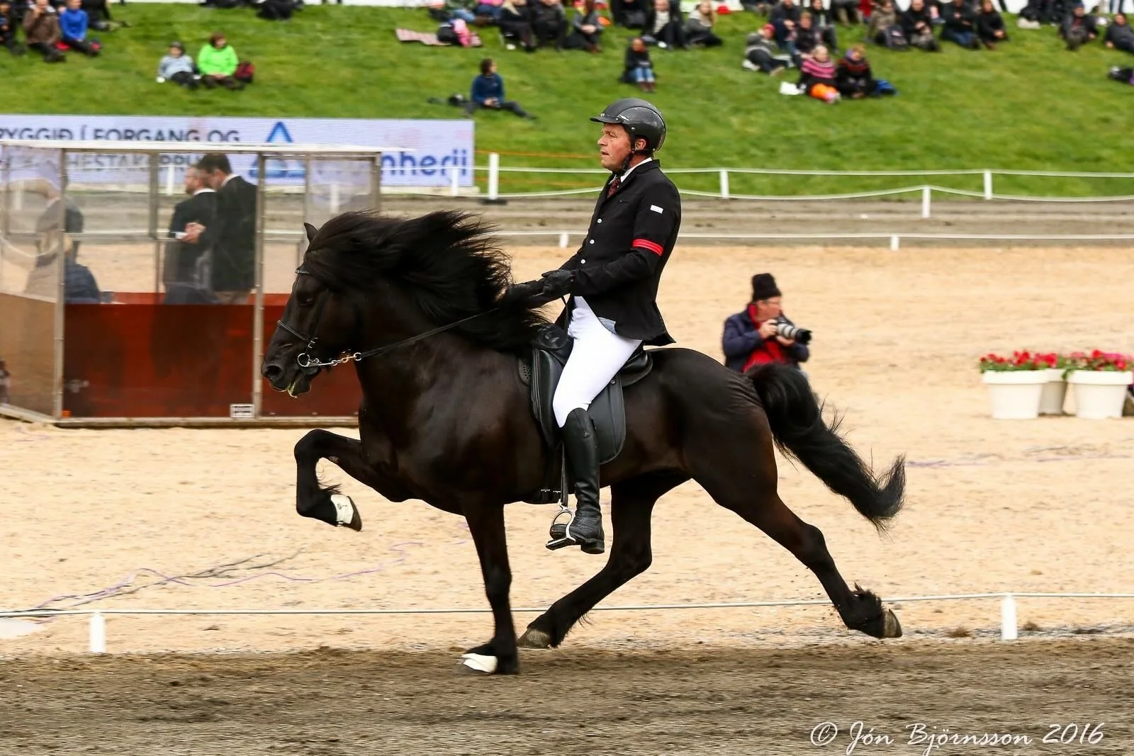 Can anyone guess which stallion is next in our catalog of stallions for this season👉👑?.....