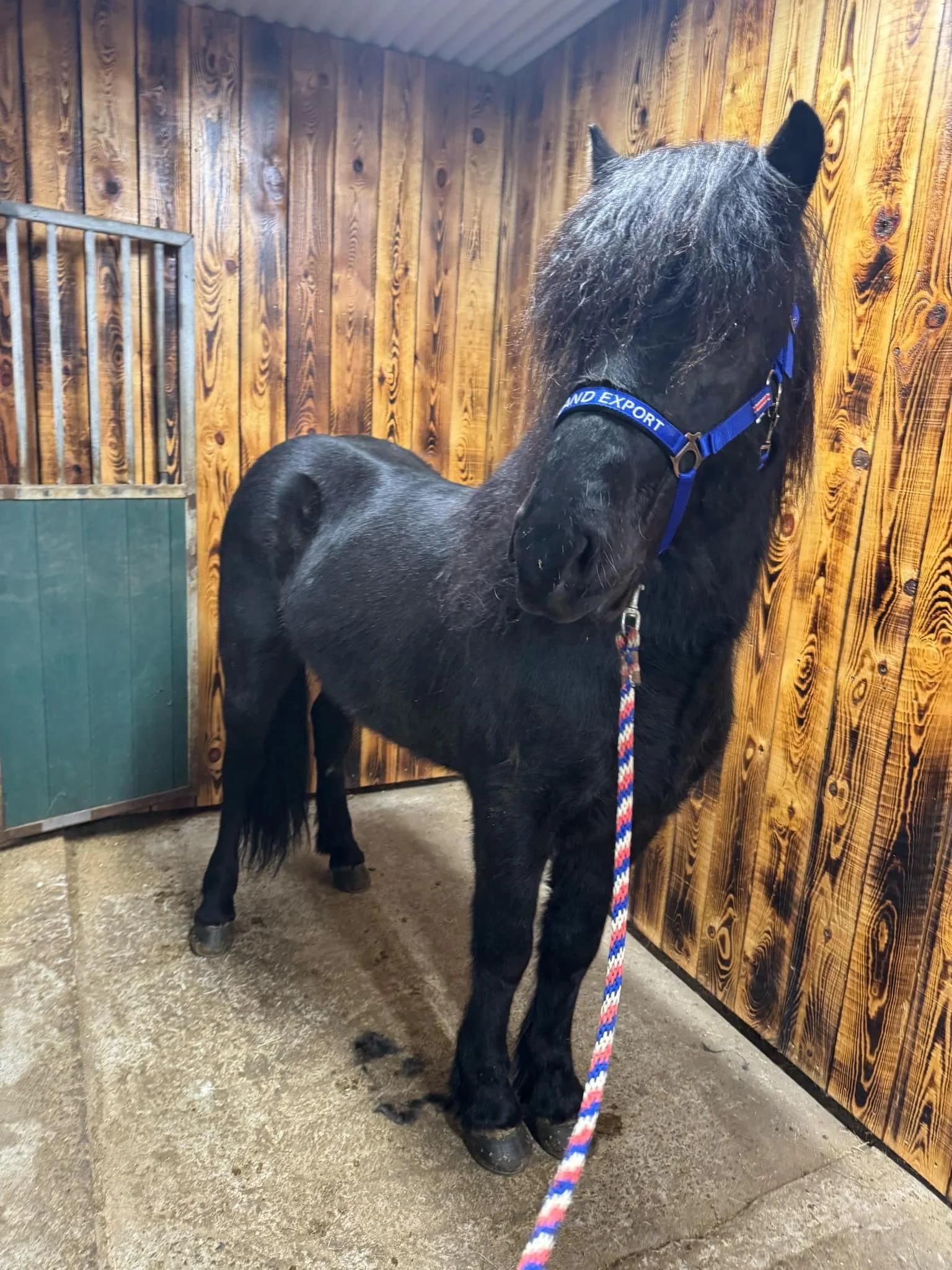 Lykill frá Akureyri has arrived