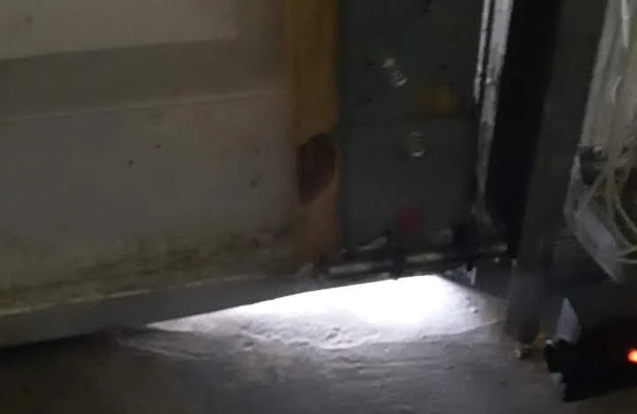 Craftsmanship Garage Doors Weather Strips