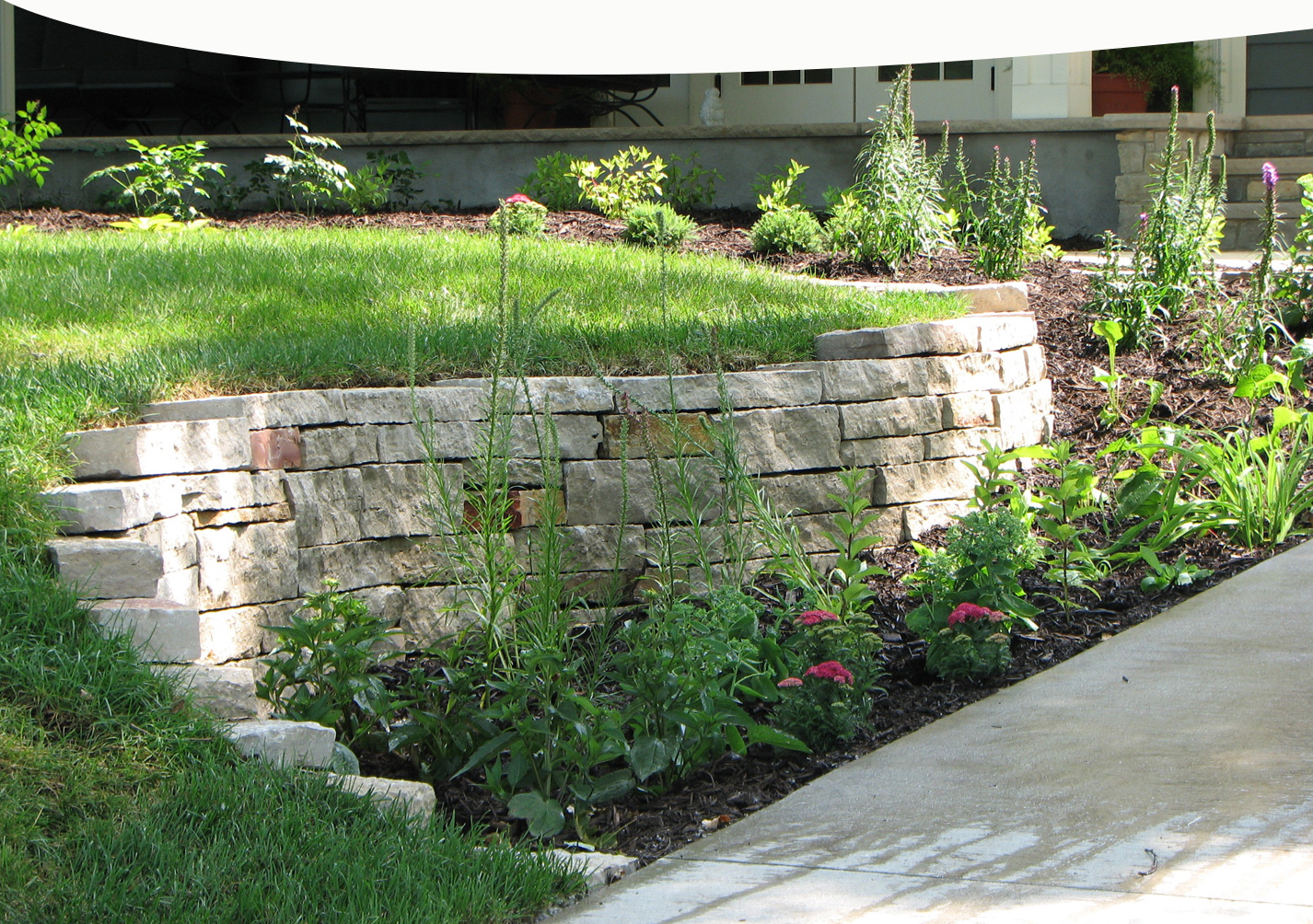 Rain Garden