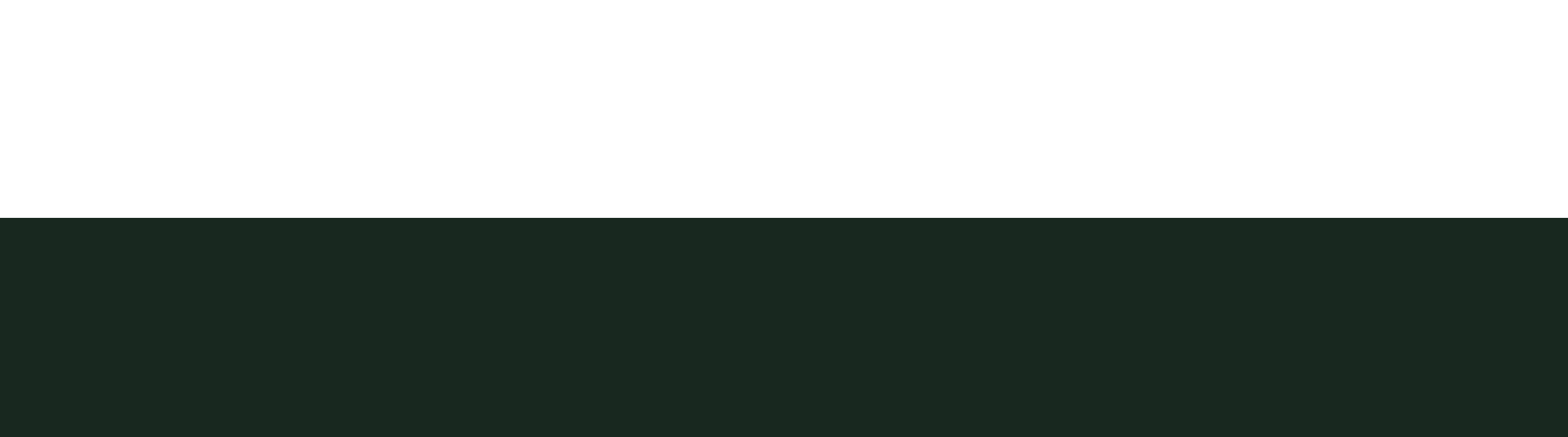 background-thin.png