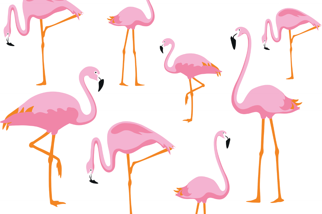 Flamingo-wall-3m-x-2m.png