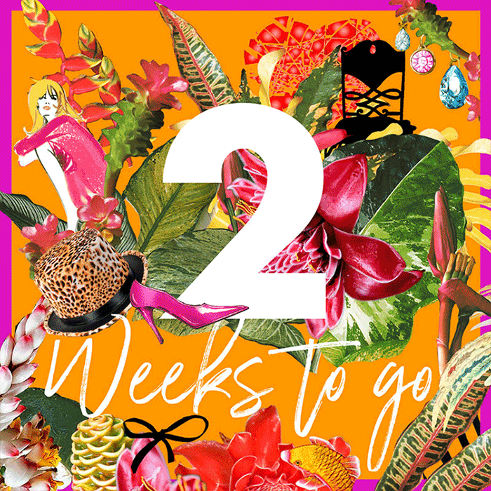 1weektogo-1.gif