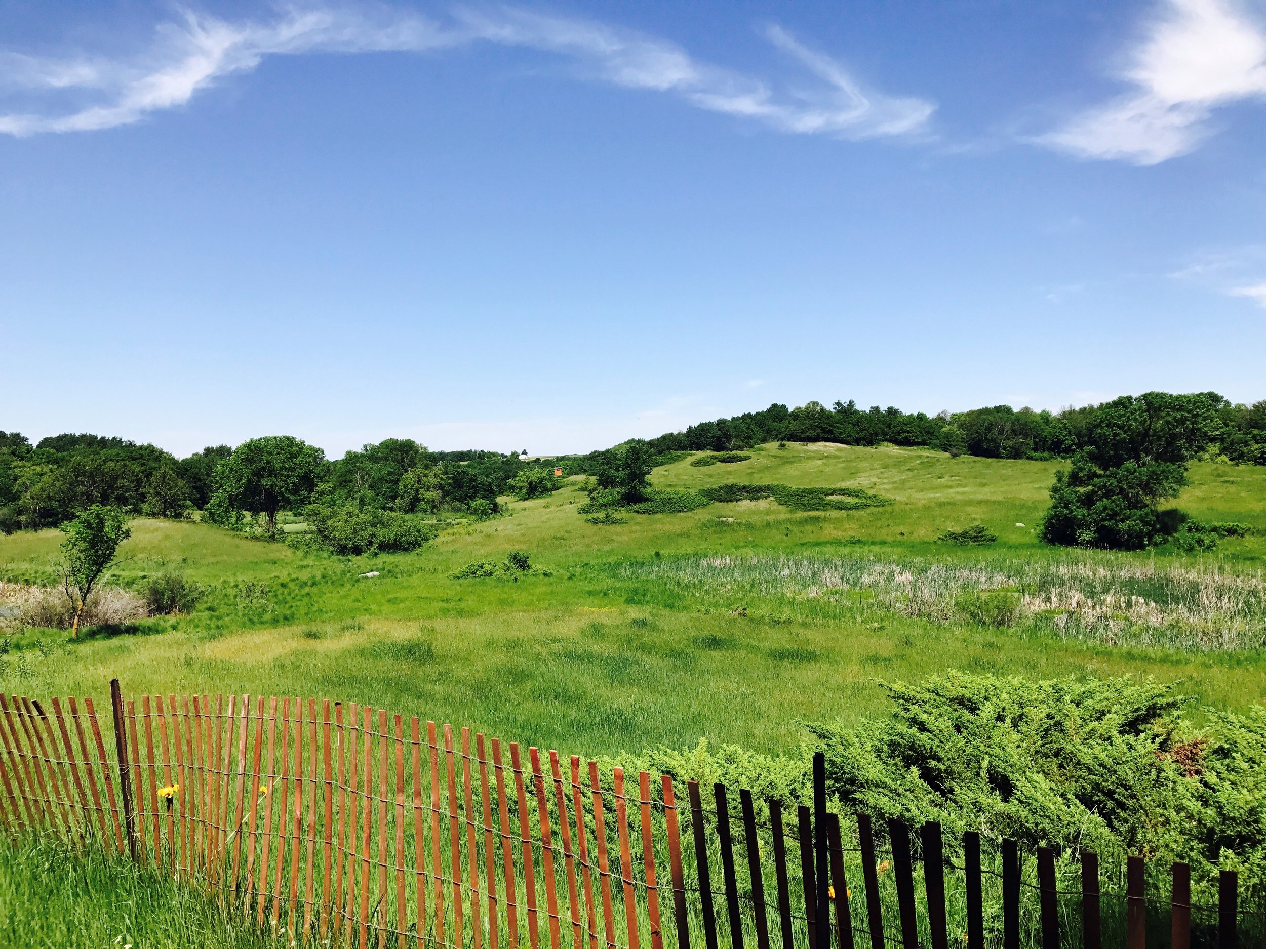 Owning Hunting Land by Mike Brown