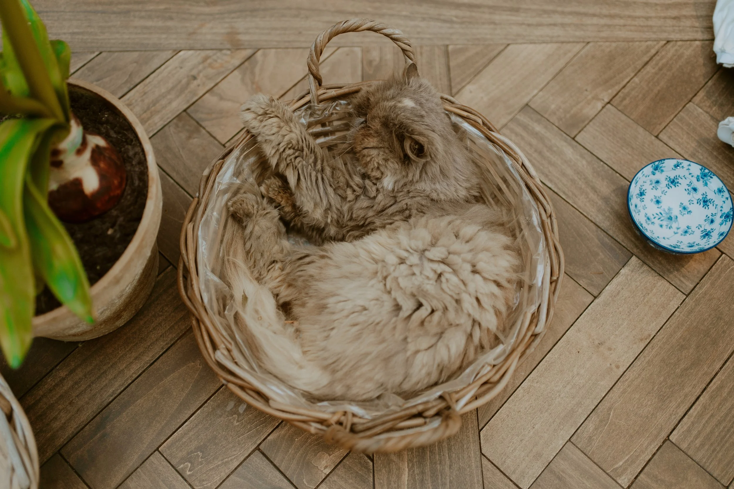 P&J (64 of 1413).jpg