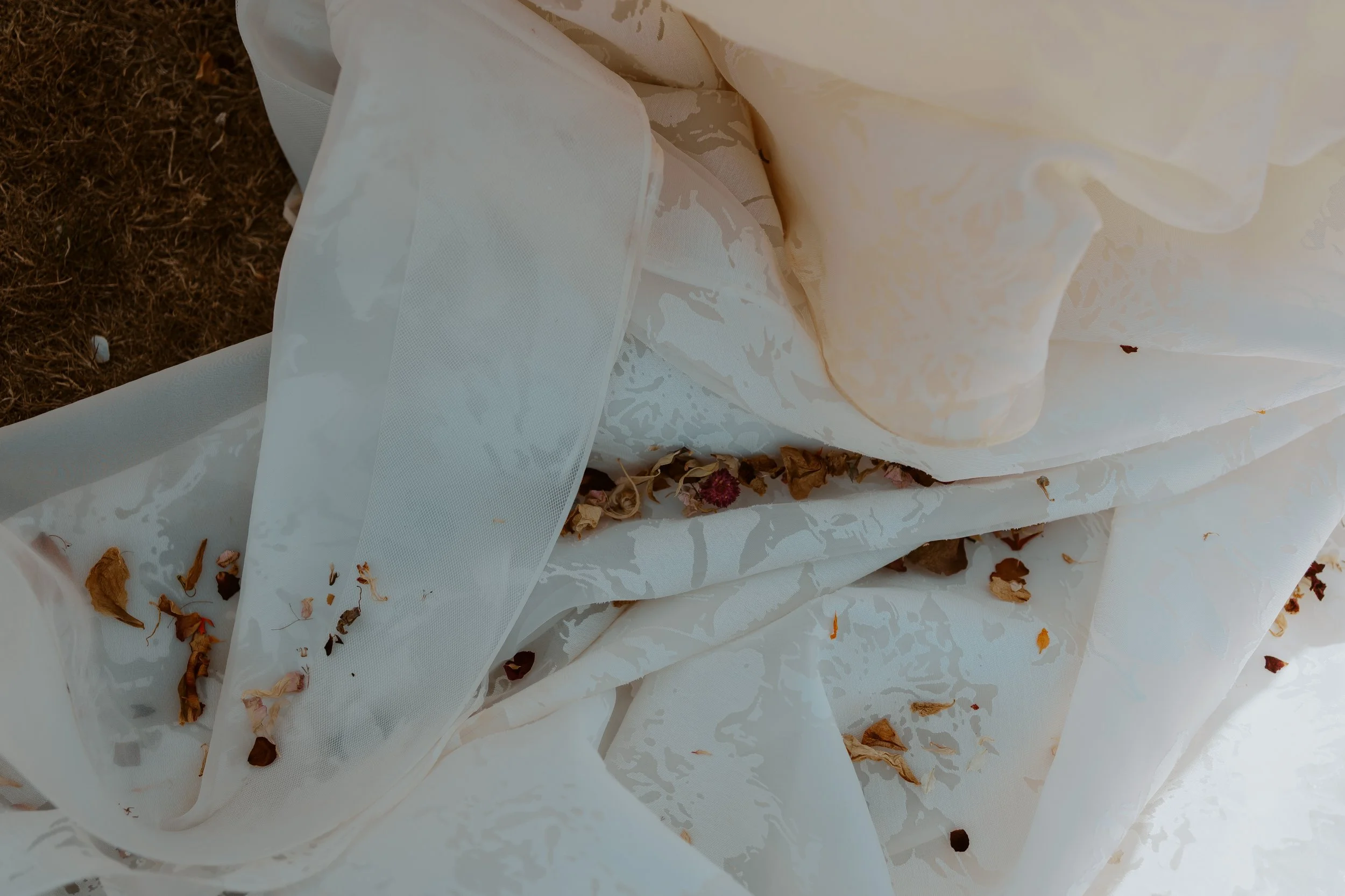 P&J (559 of 1413).jpg