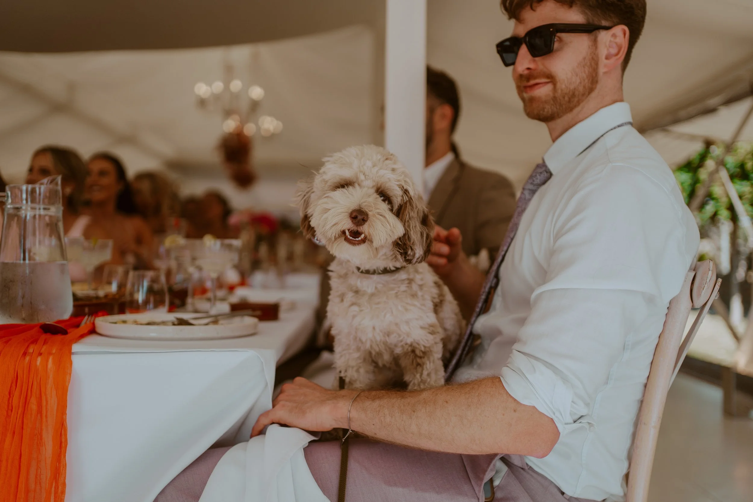 P&J (1016 of 1413).jpg