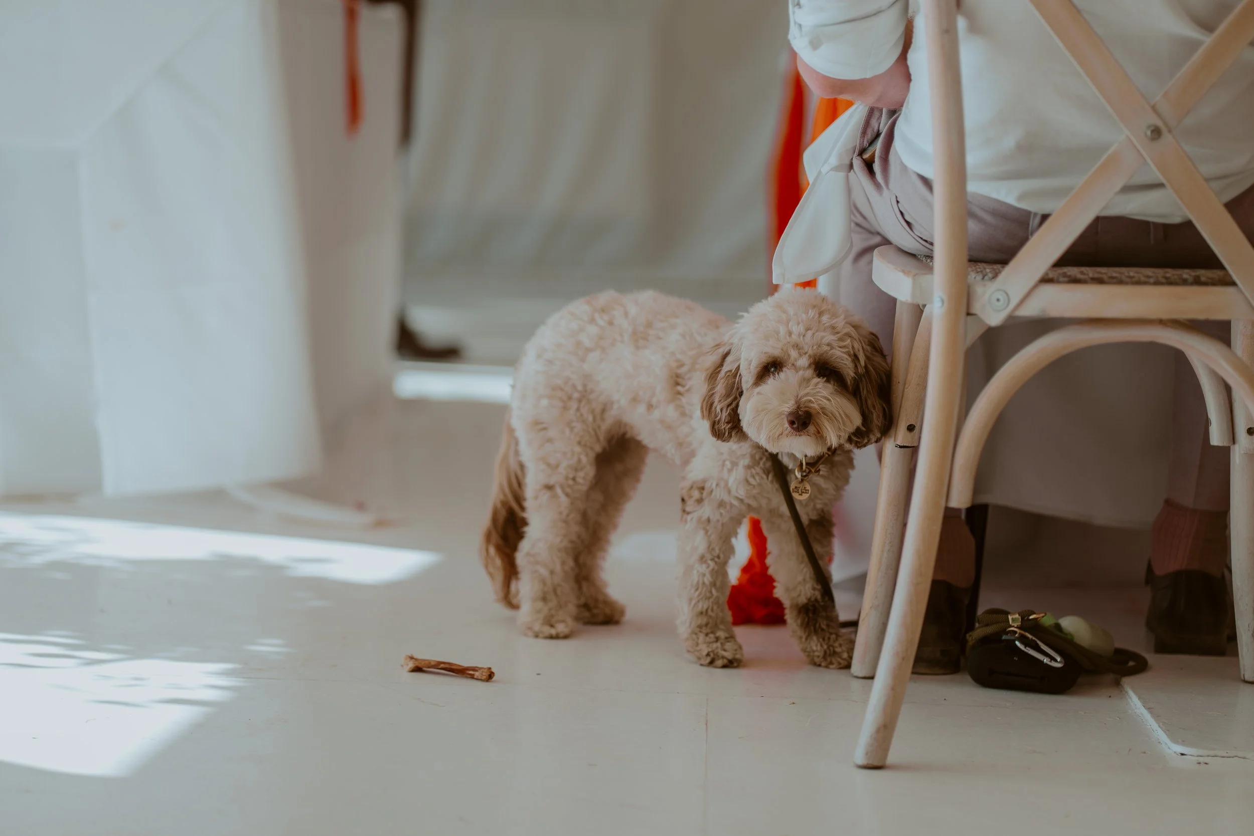 P&J (1044 of 1413).jpg