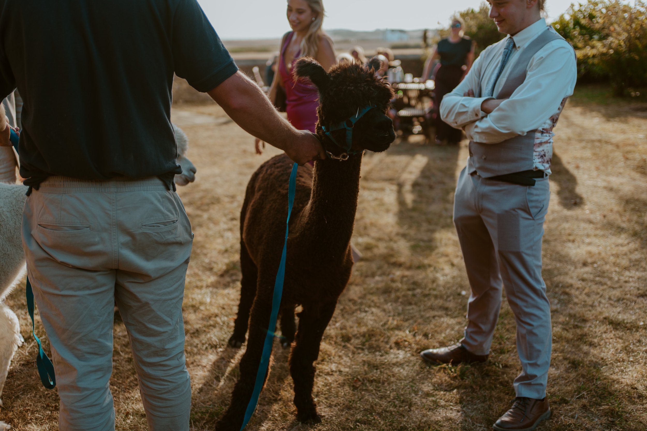 P&J (1131 of 1413).jpg