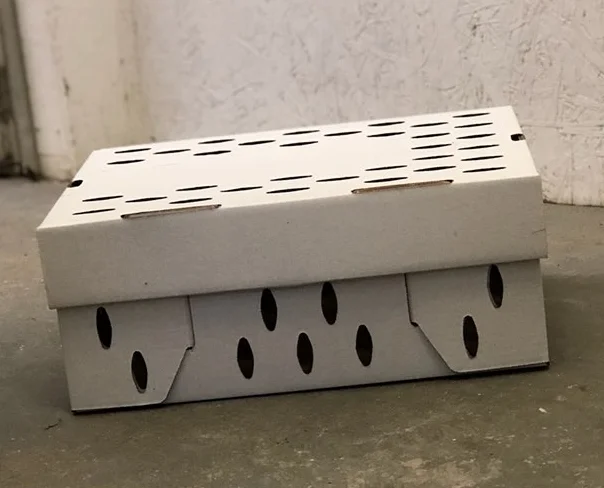 small live box c.JPG