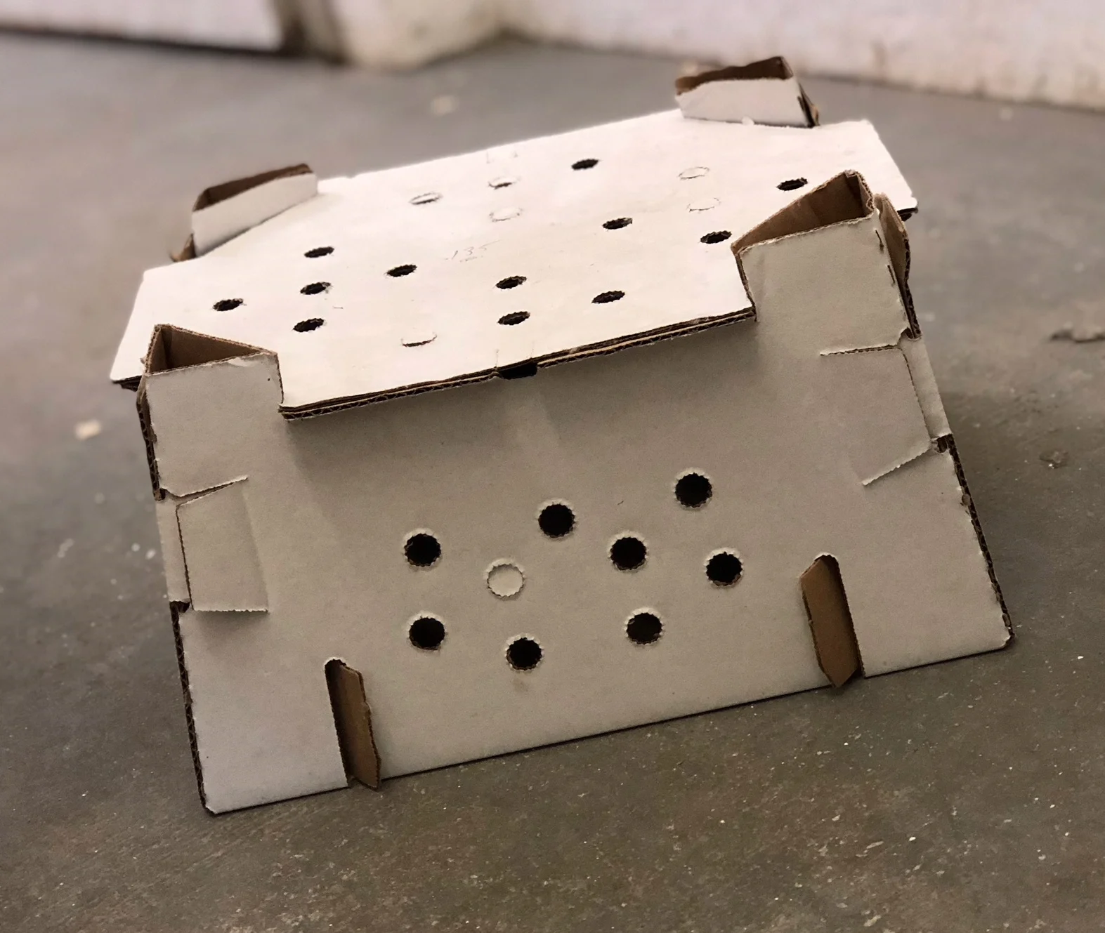 small live chick box b.JPG