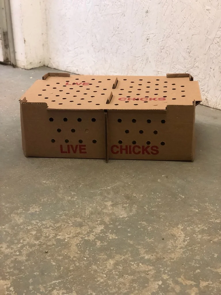 medium live box c.JPG