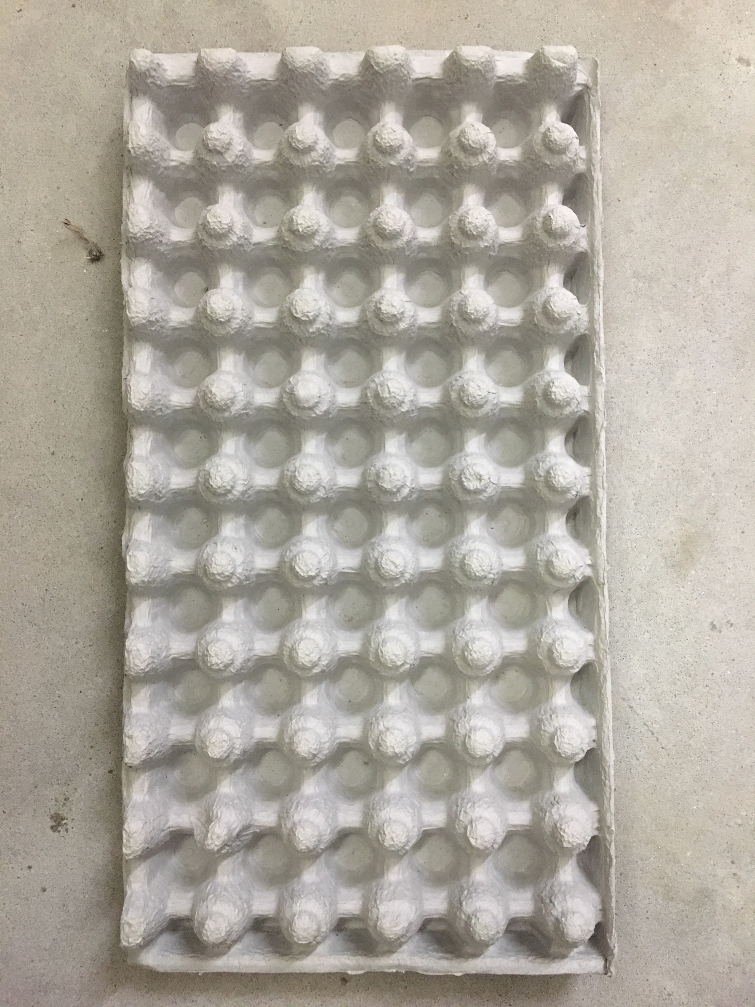 egg shipping carton.JPG
