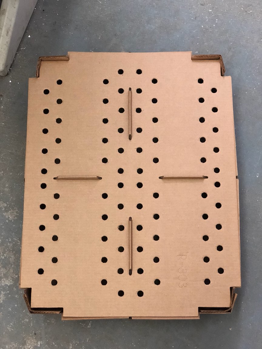 Large Live Chick Box B.JPG