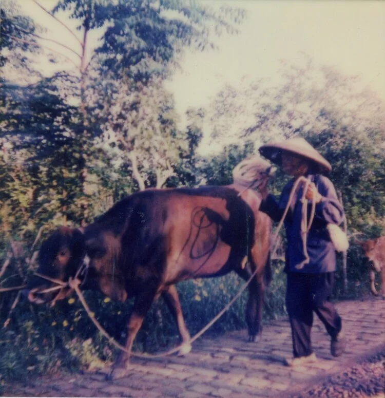 old048.jpg