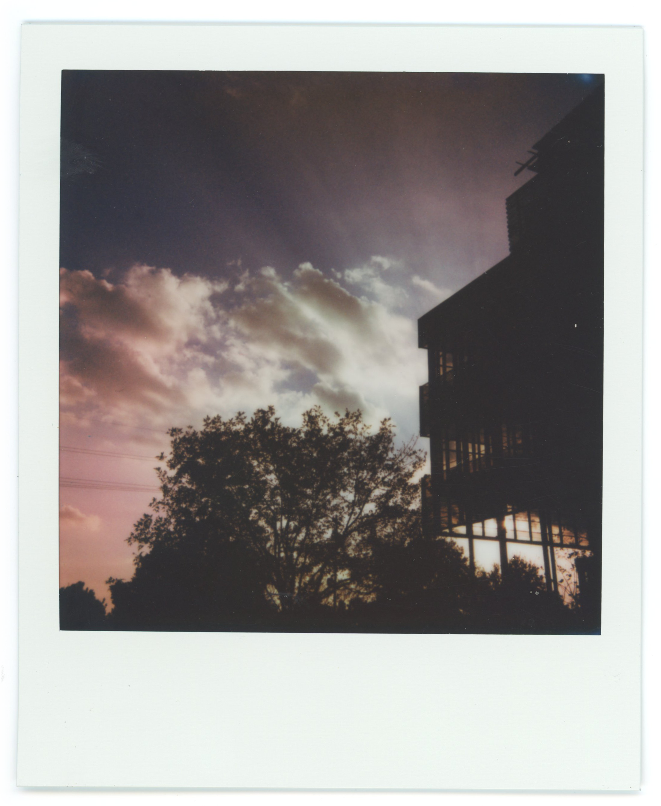 Polaroid