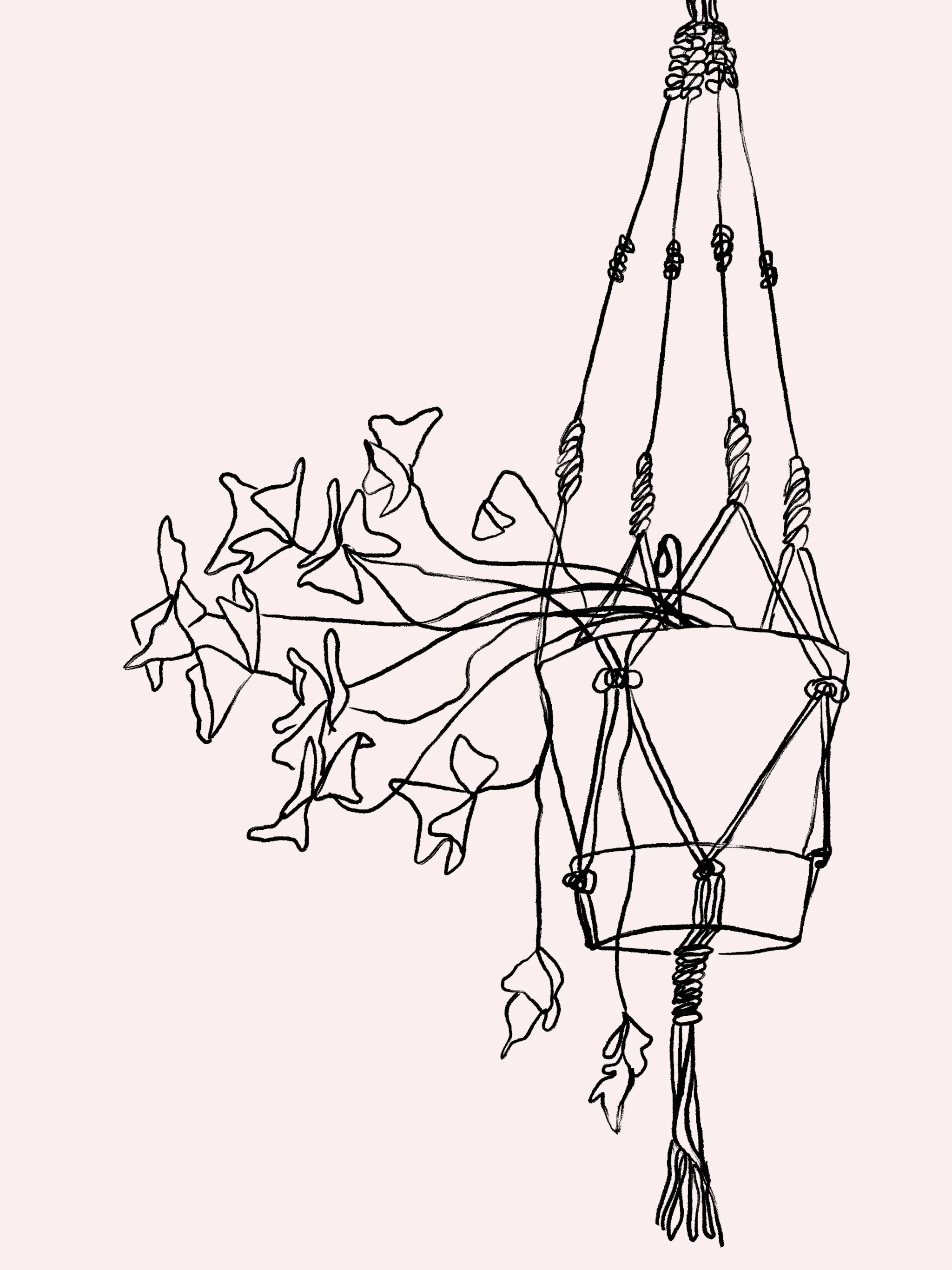love plant