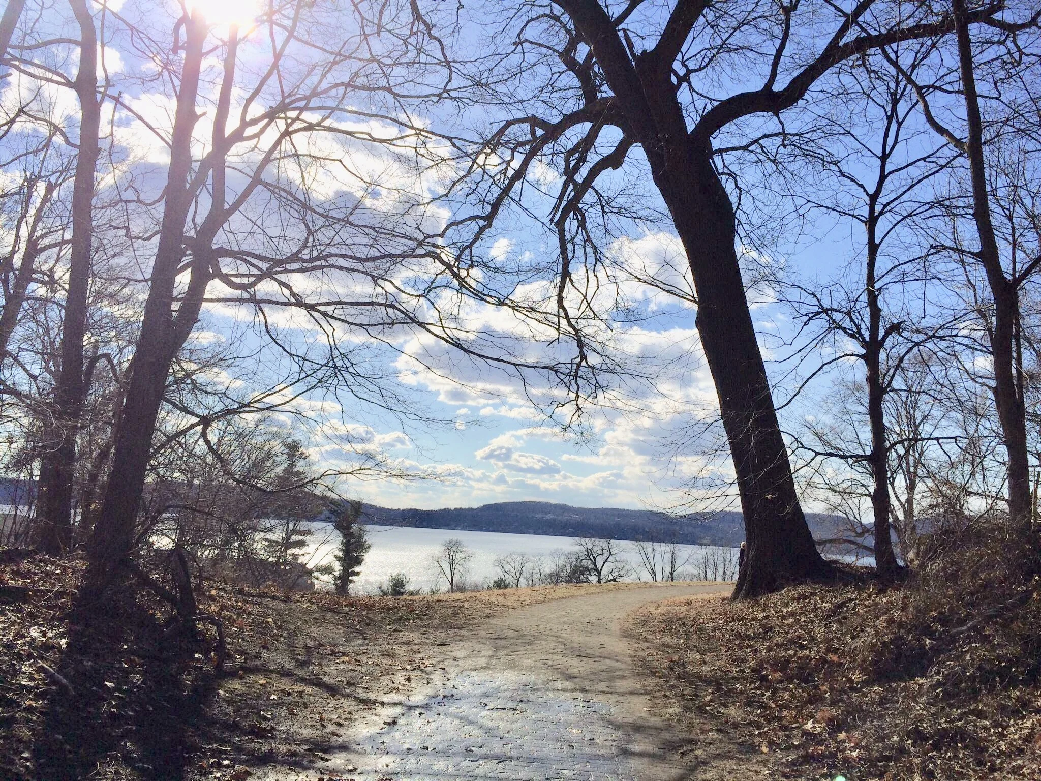 path in rockefeller.jpg