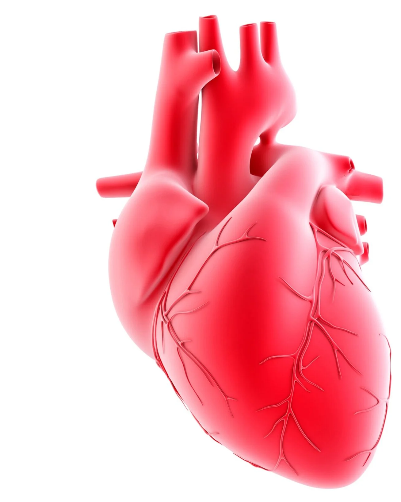 Supplier of Vitamin K2 MK4 and MK7 — Falcon Trading International