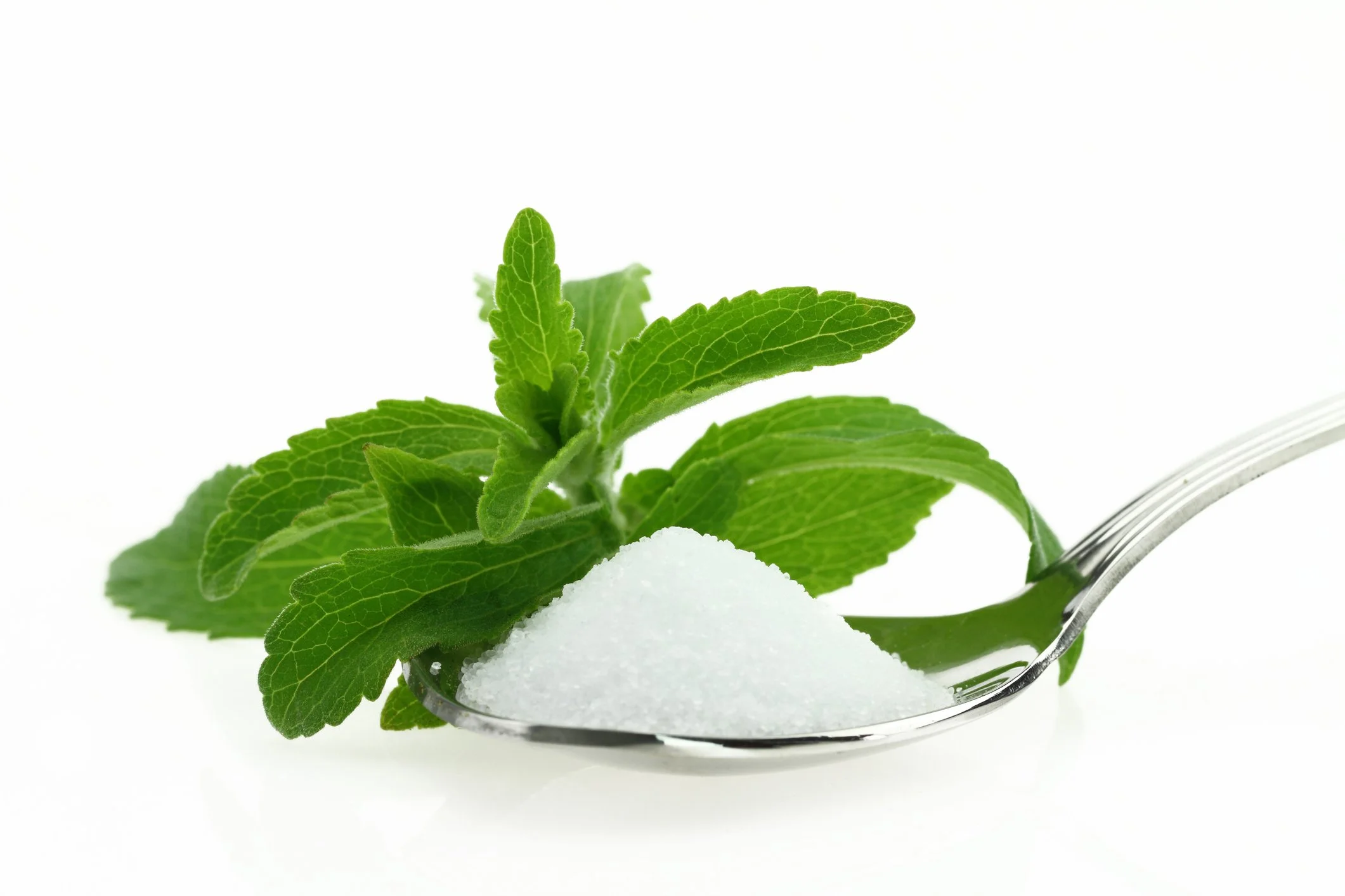 Stevia leaves with spoonful of erythritol.