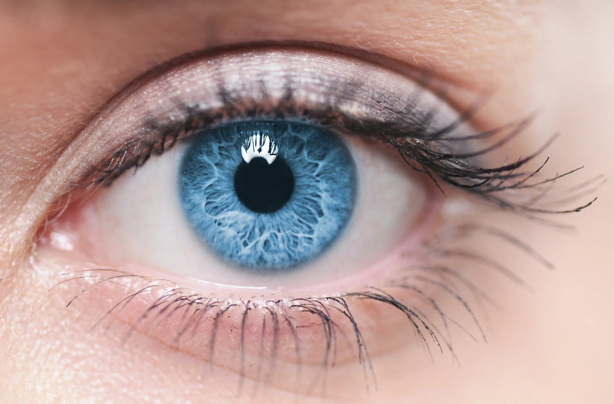 Close-up of a human eye with a vivid blue iris, black pupil, and detailed eyelashes.