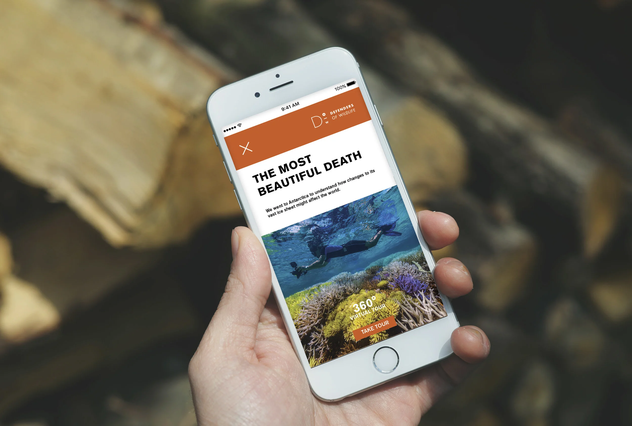 dow_app_mockup.jpg
