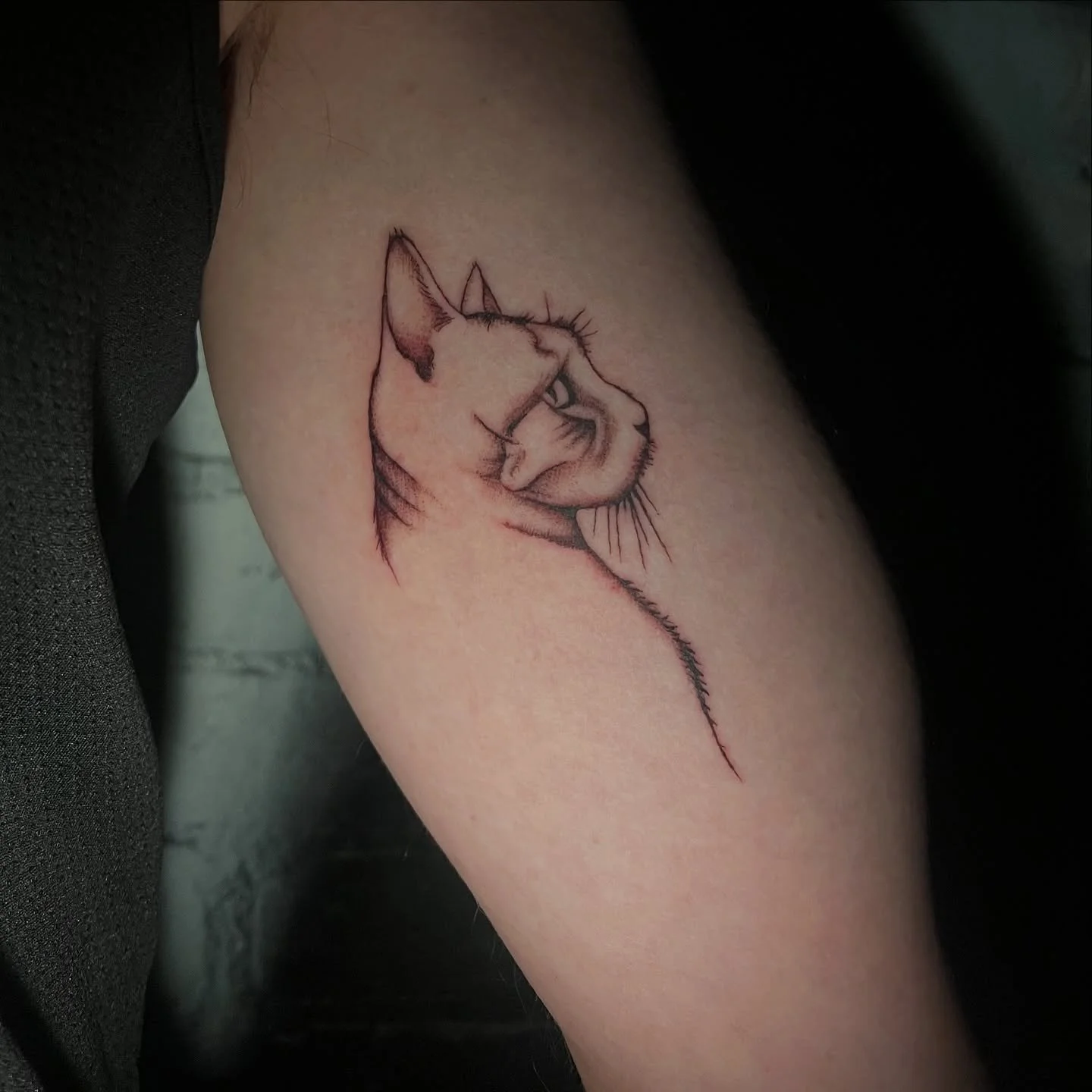 my little boy &hearts;️ 

thank you to @mariamillerart for capturing him perfectly