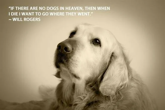 Pet Loss Resource Madison .jpg