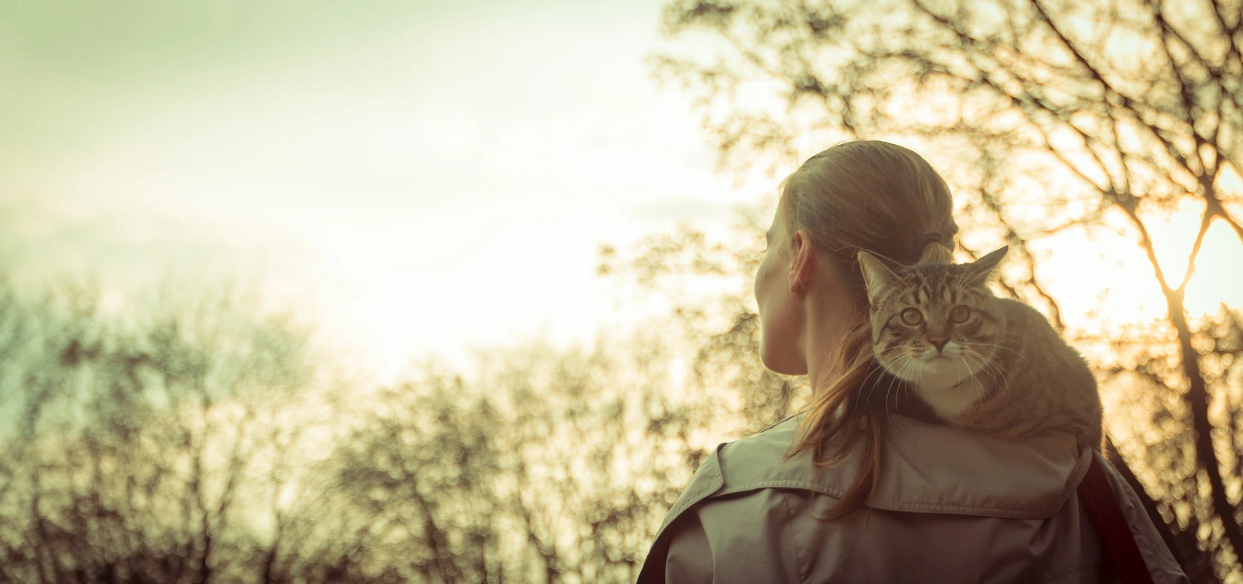 woman-with-cat-on-shoulder-at-sunset-2026-04-14-02-10-03-utc.jpg
