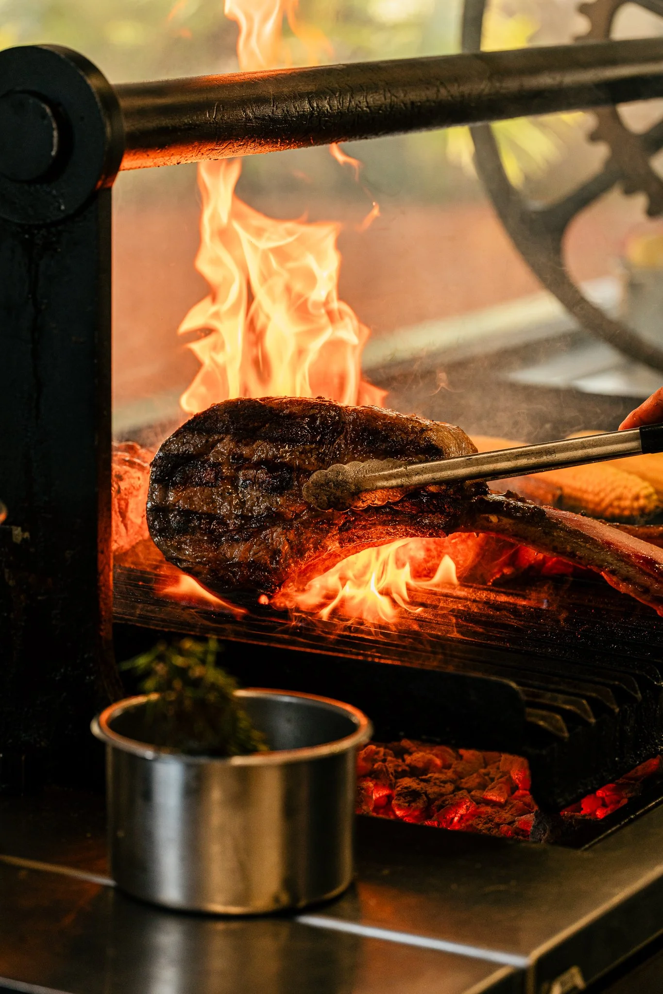 Low Quality JPG - Amazonico Août 2025-207.jpg