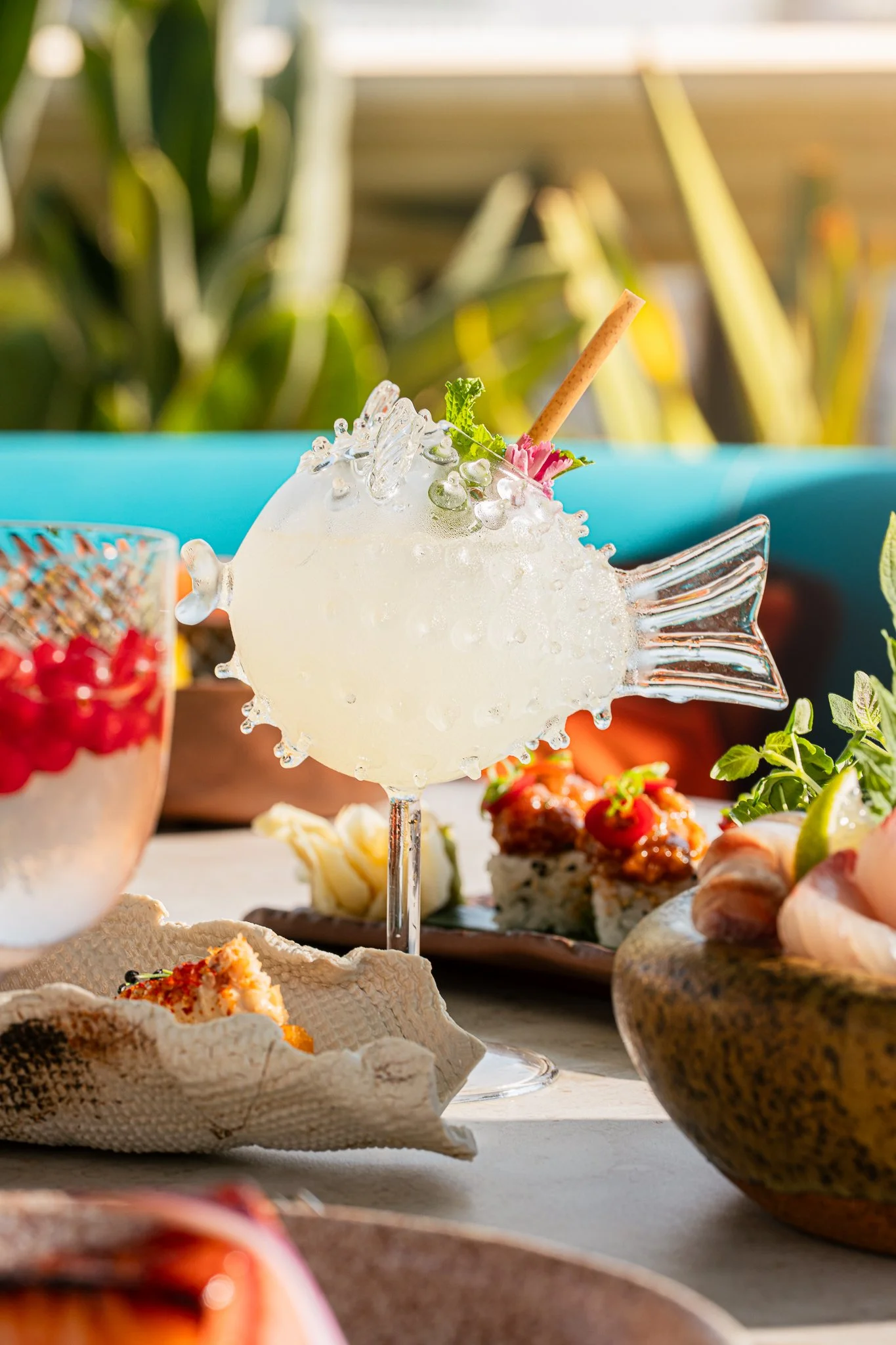 Low Quality JPG - Amazonico Août 2025-83.jpg