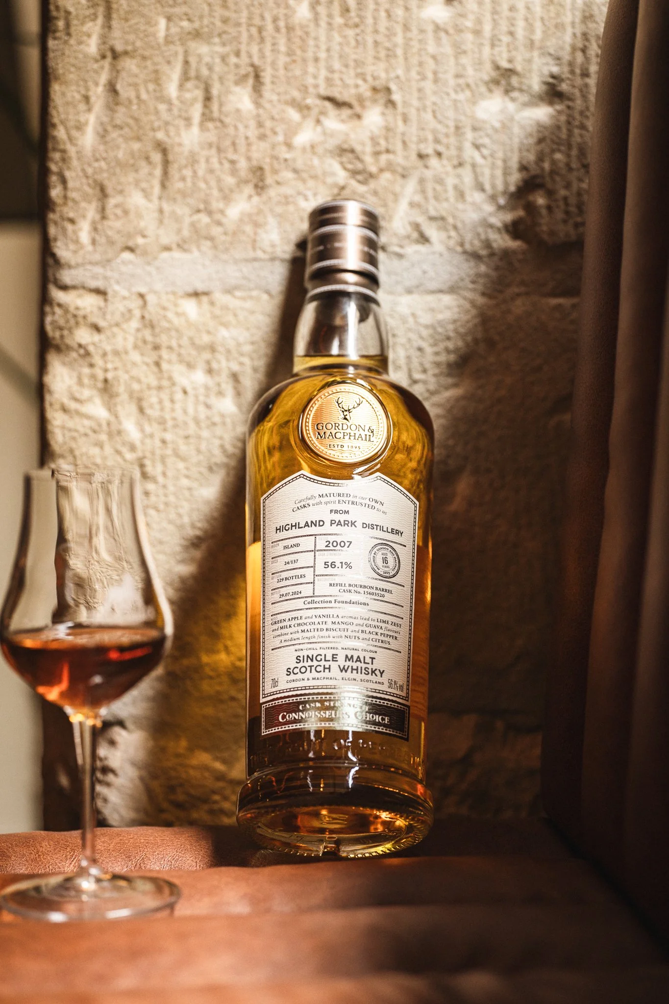 Low Quality JPG - Silverback Octobre 2025-74.jpg