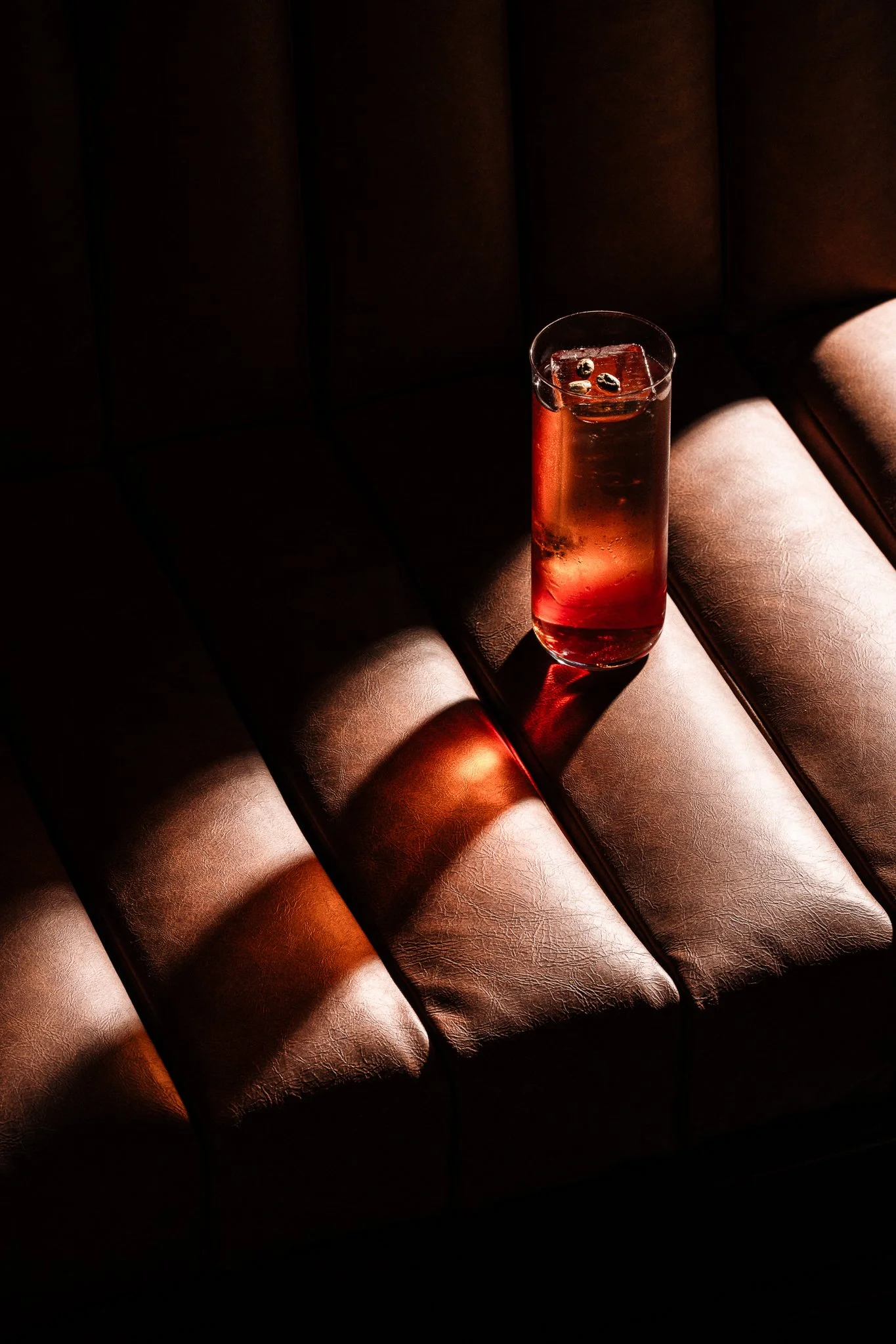 Low Quality JPG - Silverback Octobre 2025-163.jpg