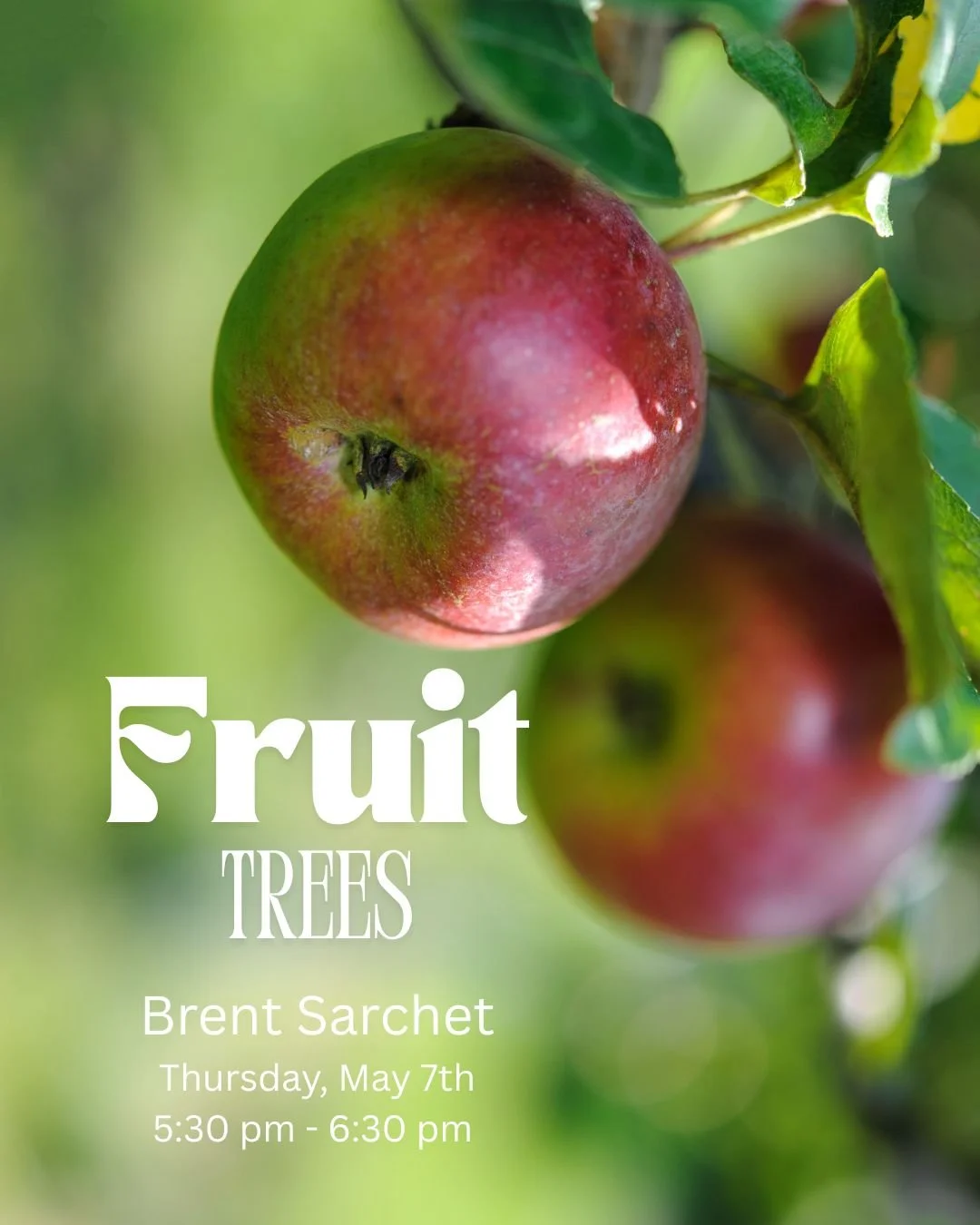 FRUIT TREES.jpg