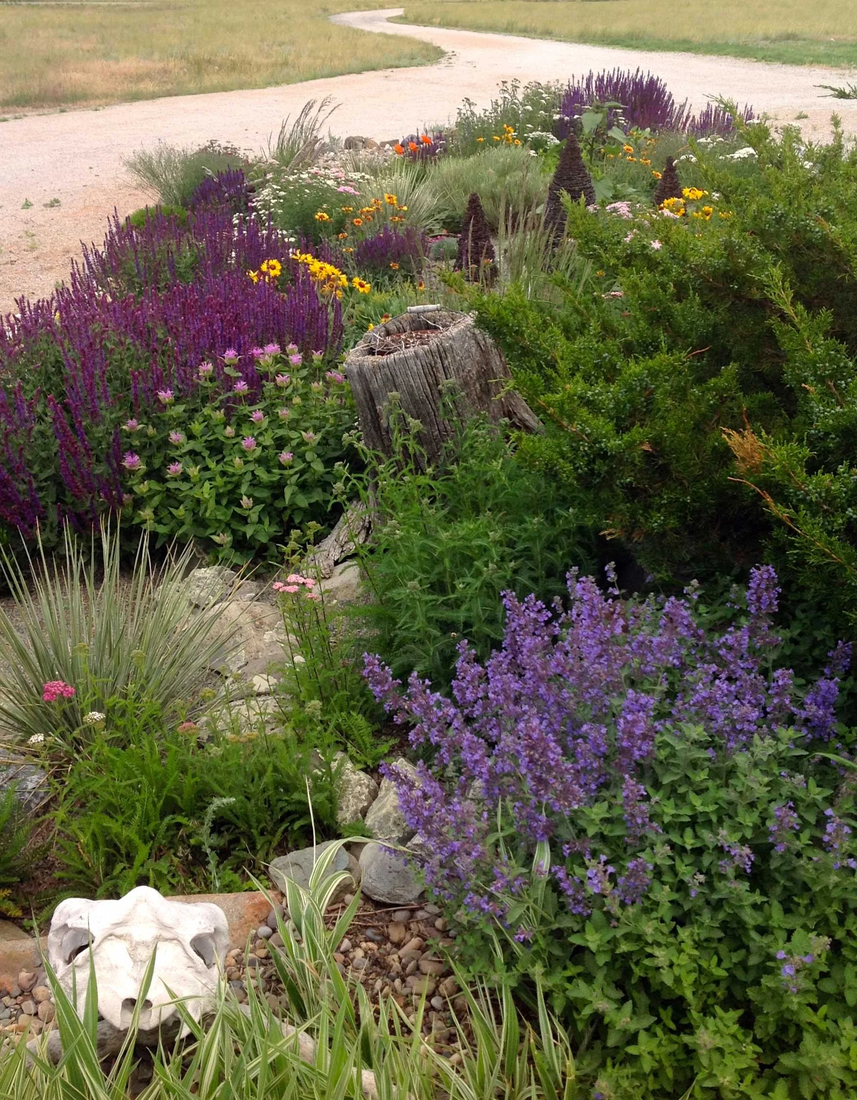 momsgarden180.jpg