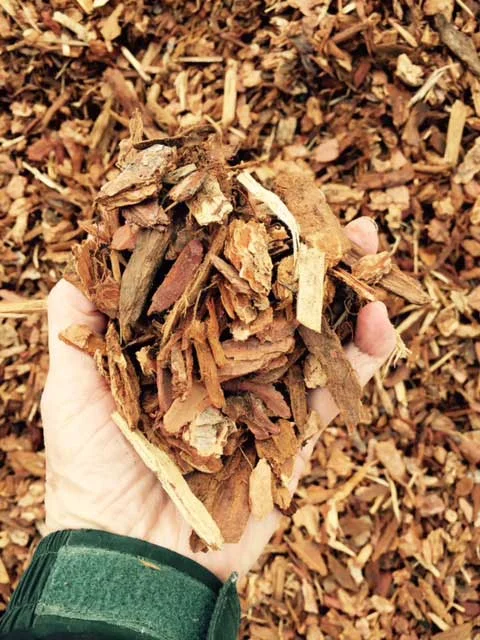 medium-bark.jpg