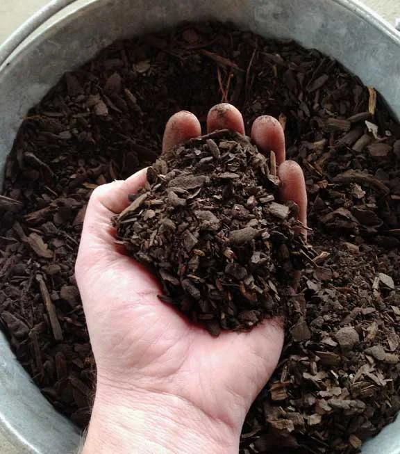 soilpep.jpg