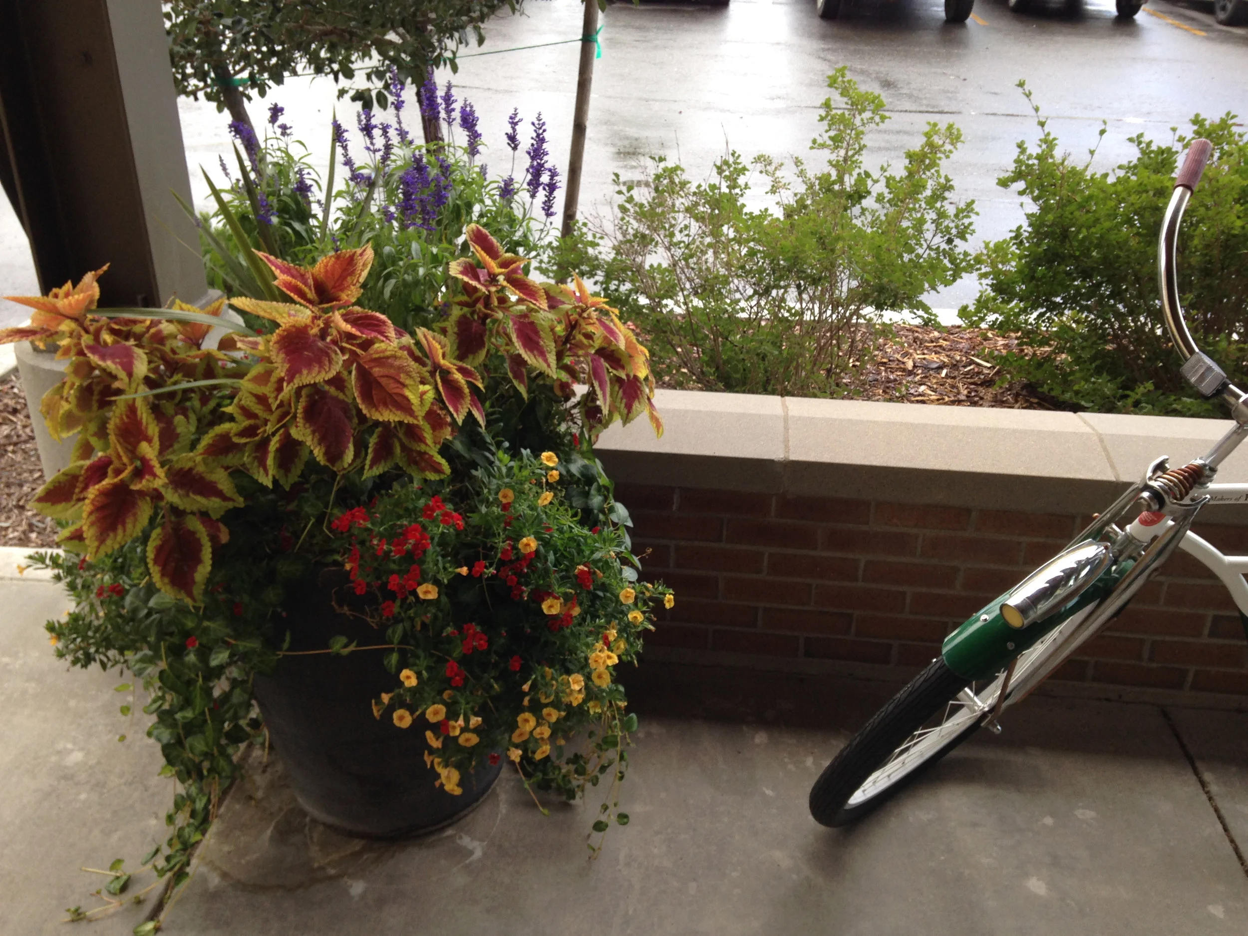 flower pot with bike.jpg