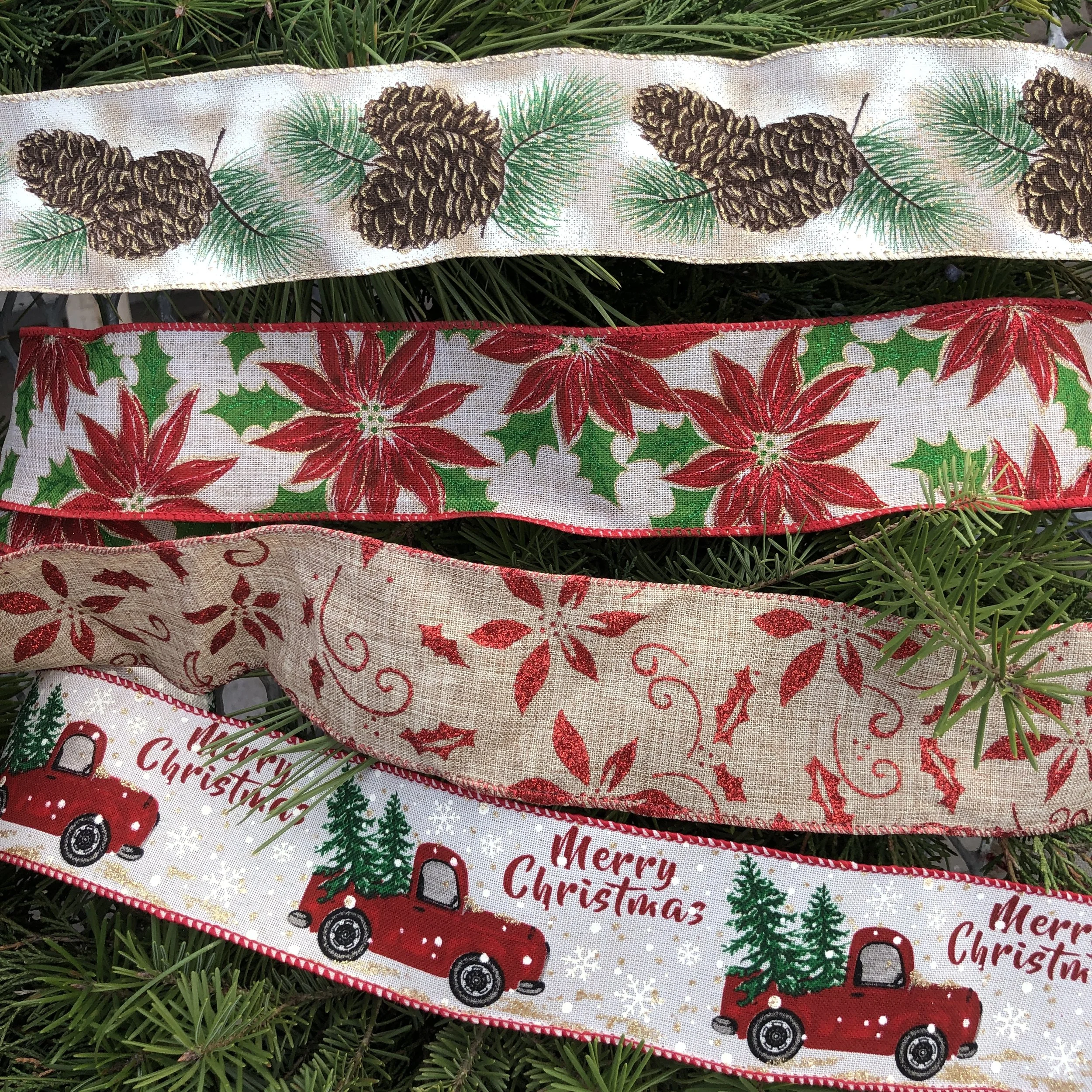 Ribbon 3.JPG