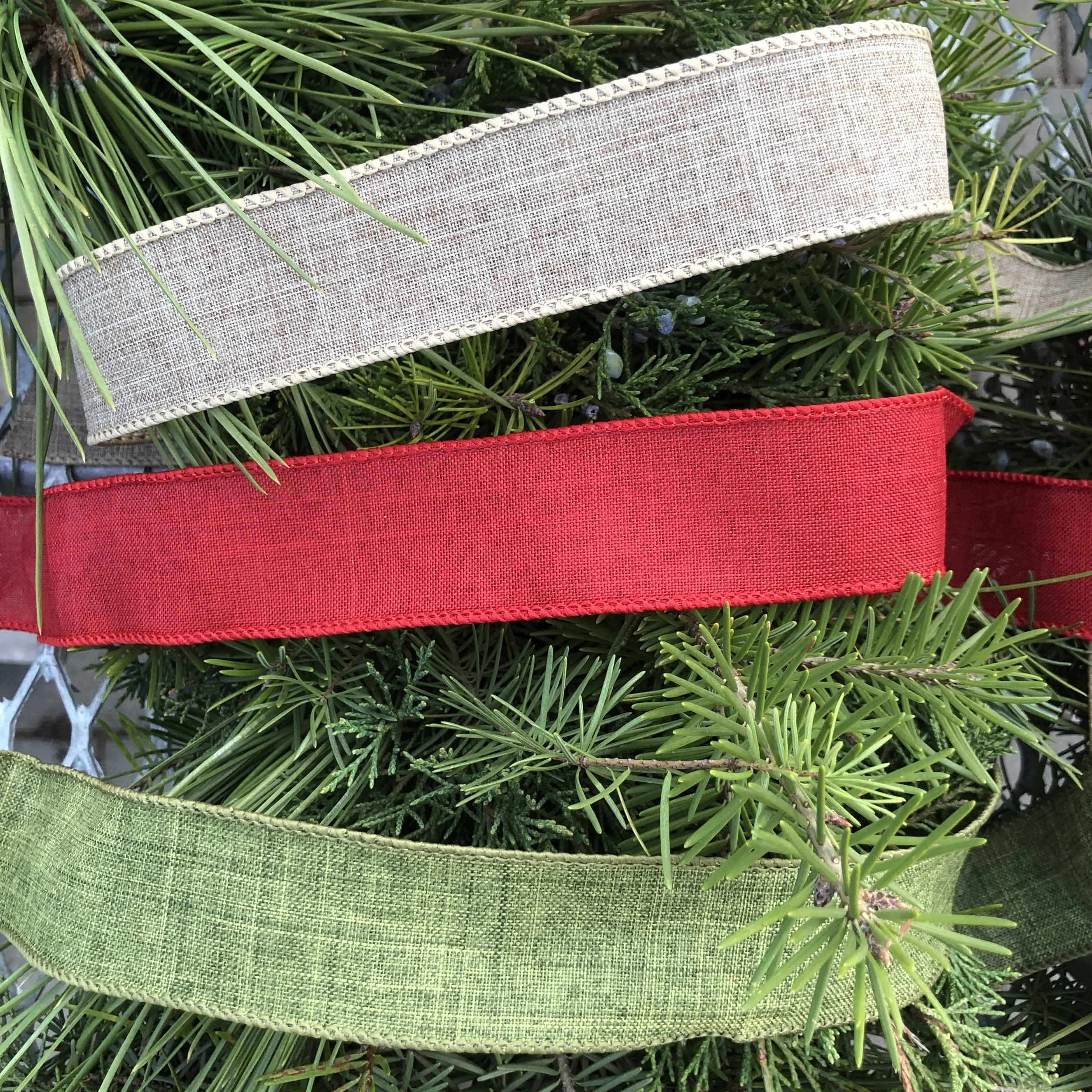Ribbon 2.JPG