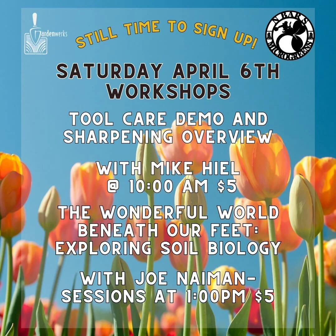 View All Herbs - Gardenwerks Plant Finder - Helena, Montana (MT)