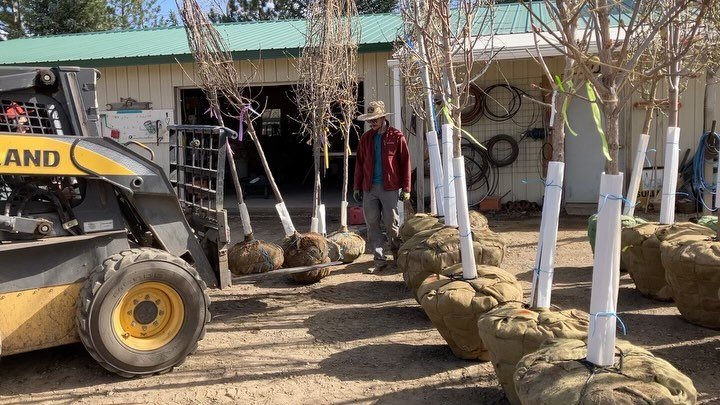 Spring has sprung! 🌸 We received the first round of trees this week. We have Landscaping with Trees tonight at 5:30 and Pruning Strategies and Maintenance on Saturday at 1:00PM. Sign up on our website. Shop this weekend Saturday 9-5 and Sunday 10-4.