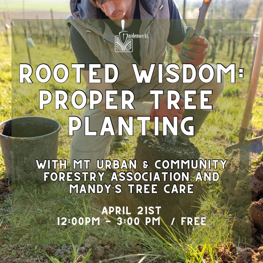 Join us tomorrow to learn all about tree planting. One of the most crucial things you can do to help the success of your trees is planting them properly. We will be demonstrating how to plant a bare root, container, and balled/burlap trees. Open to t
