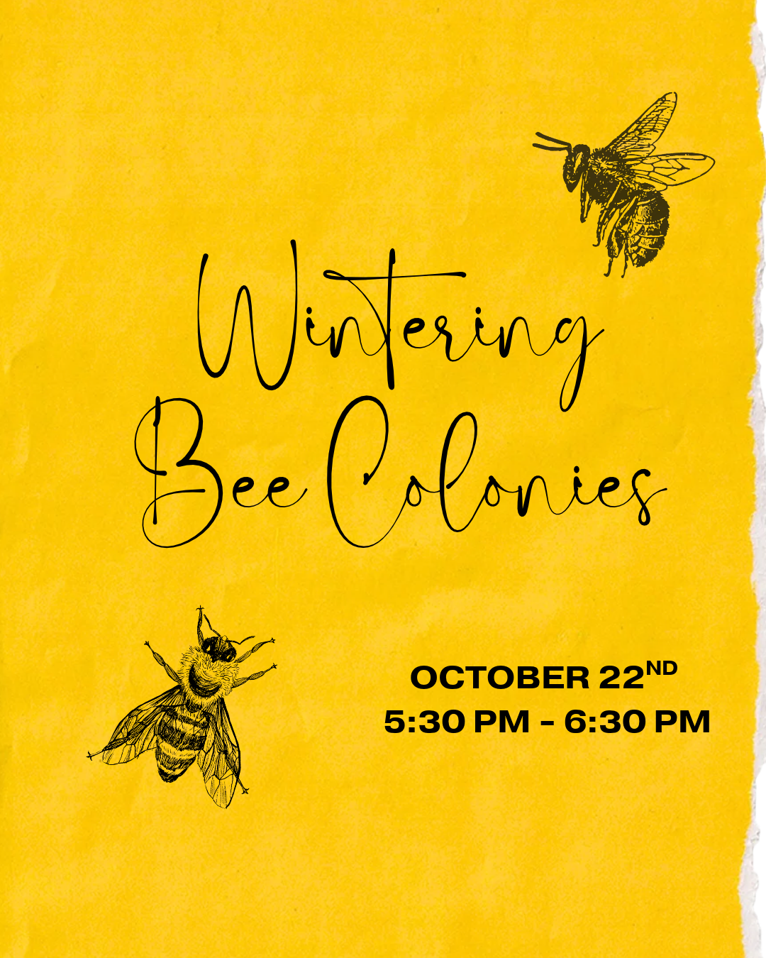 Wintering Bee Colonies (1).png