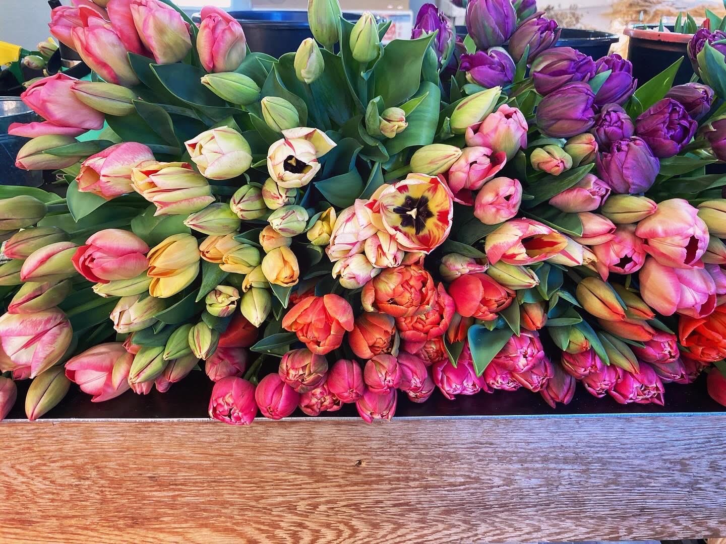 Bonus CSA Bouquet   05/26