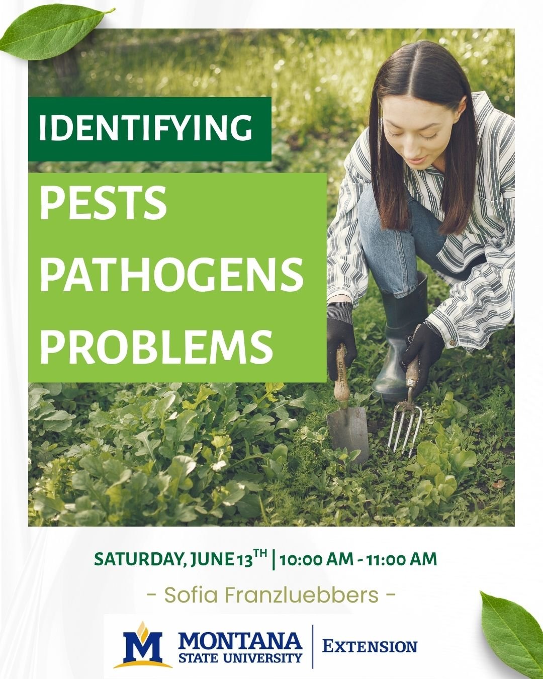 Workshop 6/13: Identifying Pests, Pathogens & Problems
